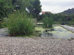 humedales artificiales